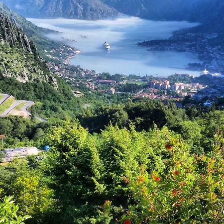 Big Hill Apartment Kotor Exterior foto